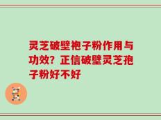 灵芝破壁袍子粉作用与功效？正信破壁灵芝孢子粉好不好