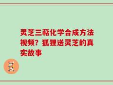 灵芝三萜化学合成方法视频？狐狸送灵芝的真实故事
