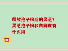释放孢子粉后的灵芝？灵芝孢子粉和白鲜皮有什么用