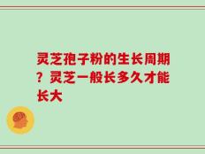 灵芝孢子粉的生长周期？灵芝一般长多久才能长大