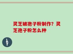 灵芝破孢子粉制作？灵芝孢子粉怎么种