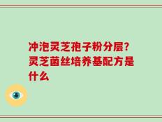 冲泡灵芝孢子粉分层？灵芝菌丝培养基配方是什么