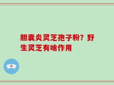 胆囊炎灵芝孢子粉？野生灵芝有啥作用