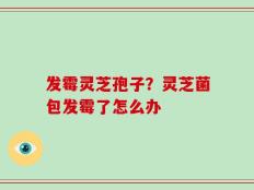 发霉灵芝孢子？灵芝菌包发霉了怎么办
