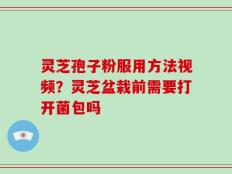 灵芝孢子粉服用方法视频？灵芝盆栽前需要打开菌包吗