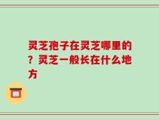 灵芝孢子在灵芝哪里的？灵芝一般长在什么地方