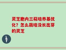 灵芝胞内三萜培养基优化？怎么栽培没长出芽的灵芝