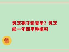 灵芝孢子粉夏季？灵芝能一年四季种植吗