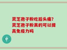 灵芝孢子粉吃后头痛？灵芝孢子粉真的可以提高免疫力吗