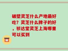 破壁灵芝什么产地最好吃？灵芝什么牌子的好，祁达堂灵芝上海哪里可以买到