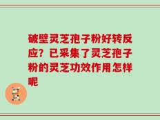 破壁灵芝孢子粉好转反应？已采集了灵芝孢子粉的灵芝功效作用怎样呢