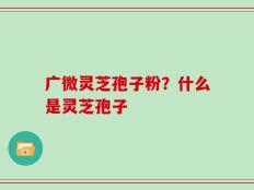广微灵芝孢子粉？什么是灵芝孢子