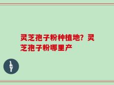 灵芝孢子粉种植地？灵芝孢子粉哪里产