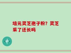 培元灵芝孢子粉？灵芝采了还长吗