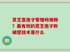 灵芝靠孢子繁殖吗视频？最有效的灵芝孢子粉破壁技术是什么