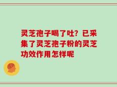 灵芝孢子喝了吐？已采集了灵芝孢子粉的灵芝功效作用怎样呢