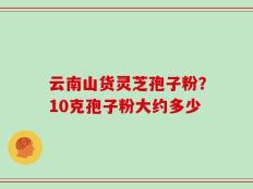 云南山货灵芝孢子粉？10克孢子粉大约多少