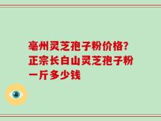 亳州灵芝孢子粉价格？正宗长白山灵芝孢子粉一斤多少钱