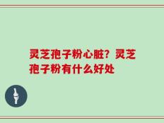 灵芝孢子粉心脏？灵芝孢子粉有什么好处