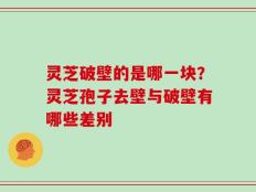 灵芝破壁的是哪一块？灵芝孢子去壁与破壁有哪些差别