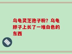 乌龟灵芝孢子粉？乌龟脖子上长了一堆白色的东西