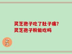 灵芝孢子吃了肚子痛？灵芝孢子粉能吃吗