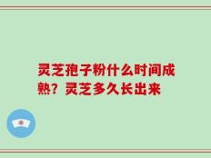 灵芝孢子粉什么时间成熟？灵芝多久长出来