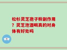松杉灵芝孢子粉副作用？灵芝泡酒喝真的对身体有好处吗