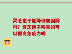 灵芝孢子能降低胆固醇吗？灵芝孢子粉真的可以提高免疫力吗