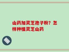山药加灵芝孢子粉？怎样种植灵芝山药