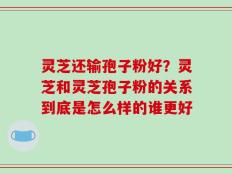 灵芝还输孢子粉好？灵芝和灵芝孢子粉的关系到底是怎么样的谁更好