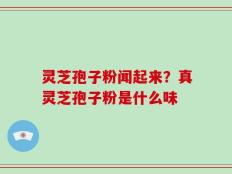 灵芝孢子粉闻起来？真灵芝孢子粉是什么味