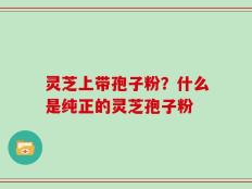 灵芝上带孢子粉？什么是纯正的灵芝孢子粉