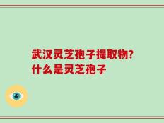 武汉灵芝孢子提取物？什么是灵芝孢子