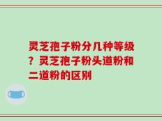 灵芝孢子粉分几种等级？灵芝孢子粉头道粉和二道粉的区别