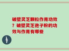 破壁灵芝颗粒作用功效？破壁灵芝孢子粉的功效与作用有哪些