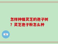 怎样种植灵芝的孢子树？灵芝孢子粉怎么种