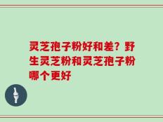 灵芝孢子粉好和差？野生灵芝粉和灵芝孢子粉哪个更好