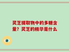 灵芝提取物中的多糖含量？灵芝的精华是什么