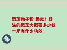 灵芝孢子粉 肠炎？野生的灵芝大概要多少钱一斤有什么功效