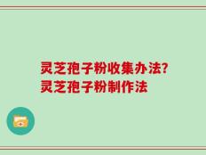 灵芝孢子粉收集办法？灵芝孢子粉制作法