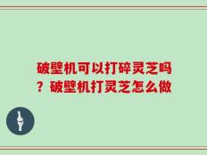 破壁机可以打碎灵芝吗？破壁机打灵芝怎么做