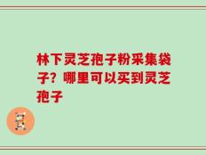 林下灵芝孢子粉采集袋子？哪里可以买到灵芝孢子