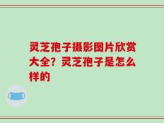 灵芝孢子摄影图片欣赏大全？灵芝孢子是怎么样的