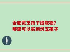 合肥灵芝孢子提取物？哪里可以买到灵芝孢子