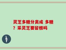 灵芝多糖分离成 多糖？采灵芝要留根吗