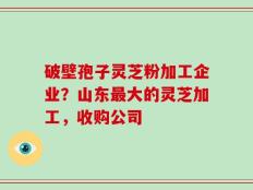 破壁孢子灵芝粉加工企业？山东最大的灵芝加工，收购公司