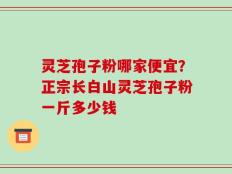 灵芝孢子粉哪家便宜？正宗长白山灵芝孢子粉一斤多少钱