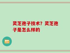 灵芝孢子技术？灵芝孢子是怎么样的