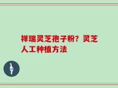 祥瑞灵芝孢子粉？灵芝人工种植方法